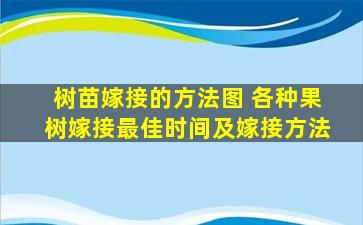 树苗嫁接的方法图 各种果树嫁接最佳时间及嫁接方法